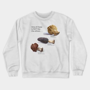 2 True Morels, 1 False Morel Crewneck Sweatshirt